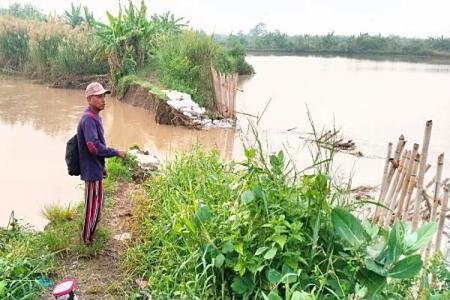TANGGUL SUNGAI BODRI DI PIDODOKULO