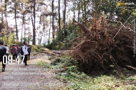 astikan Kondisi Aman Perhutani