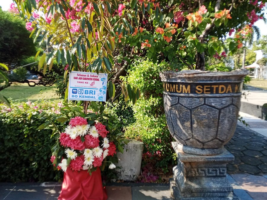 BRI Rayakan HUT 421 Kendal dengan Bibit Buah, Dukung Gerakan Hijau dan Bebas Sampah