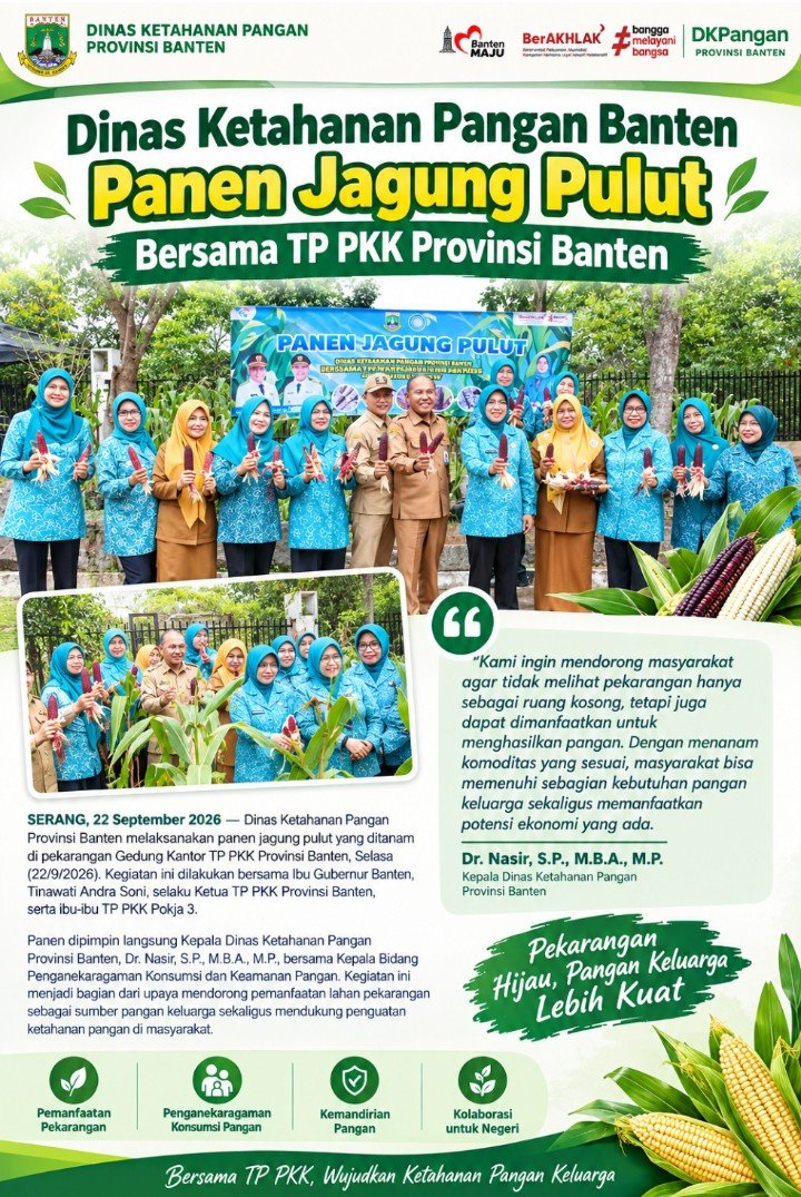 Dinas Ketahanan Pangan Banten Panen Jagung Pulut Bersama TP PKK Provinsi Banten