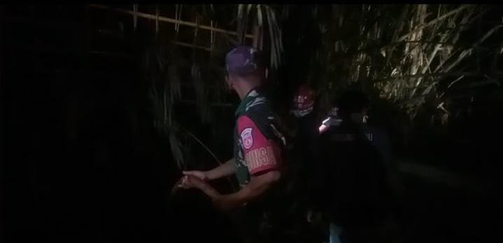 Kebakaran Lahan Bambu di Pengalusan Padam