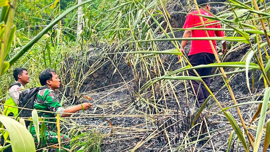 Sinergi TNI-Polri dan BPBD Purbalingga, Padamkan Kebakaran Hutan Milik  Perhutani
