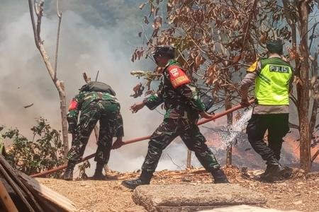 Gerak Cepat TNI dan Tim Gabung