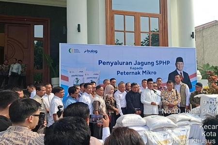 Peternak Unggas Keluhkan Pakan Mahal dan Telur Sulit Terserap Pemerint