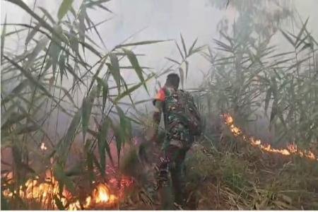  Hutan Pinus di Desa Sirau Ter