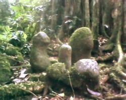 Situs Bandingan KecKarang Jambu Purbalingga