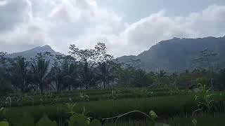 Ada Apa di Situs Tipar Ponjen Kabupaten Purbalingga