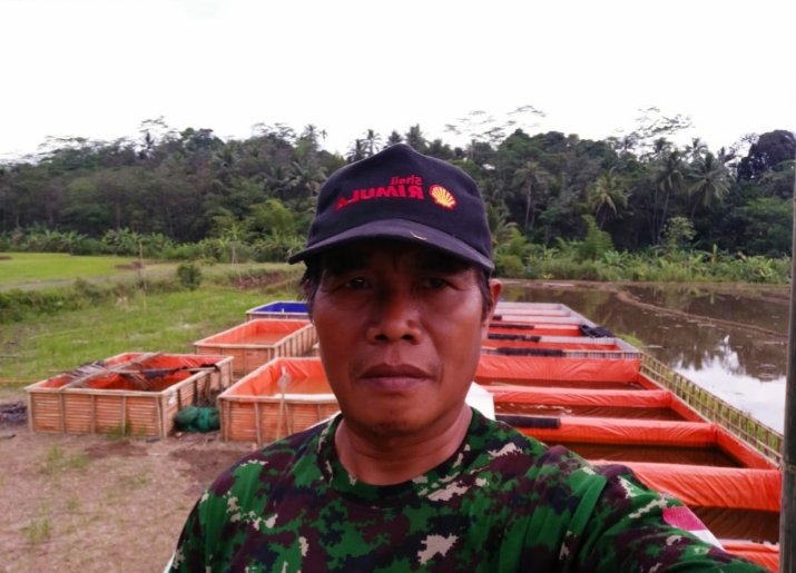 Budidaya Lele Sangkuriang Sekdes Baleraksa Menjadi Inspirasi Para Peta