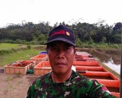 Budidaya Lele Sangkuriang Sekdes Baleraksa Menjadi Inspirasi Para Peta