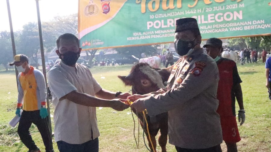 Polres Cilegon Polda Banten Melaksanakan Pemotongan Hewan Qurban Hari 