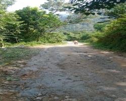 Masyarakat desa Cidikit Keluhkan akses jalan desa kp cibengkung 