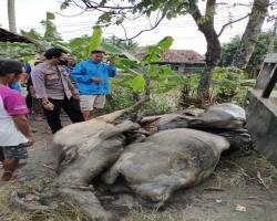 Polres Lebak dan Polsek Panggarangan selidiki  Meninggalnya seorang Pe