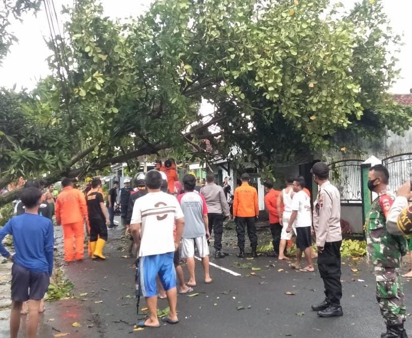 Hujan Disertai Angin Kencang, Beberapa Bencana Terjadi Di Purbalingga