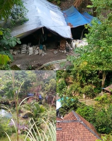 Peti Di Desa Sogong Kian Marak, Ironisnya Dekat Pemukiman