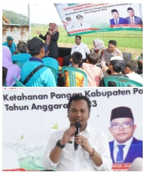 Dpkp Pandeglang Adakan Kegiatan Pembentukan Dan Penyelenggaraan Sekola