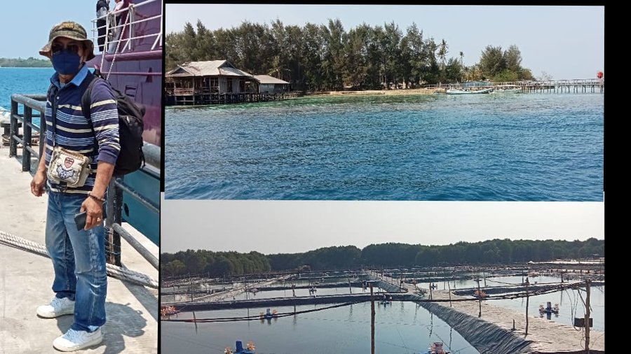 Kabar Karimunjawa Jepara Jateng