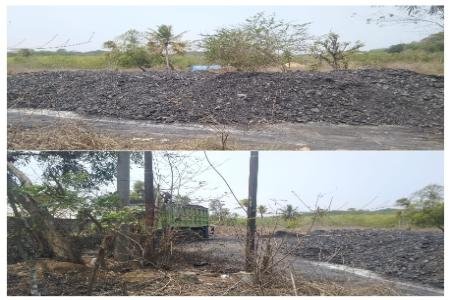 Merasa Bermodal Diduga BD Pengusaha Batubara Ilegal Berlagak  Usahanya