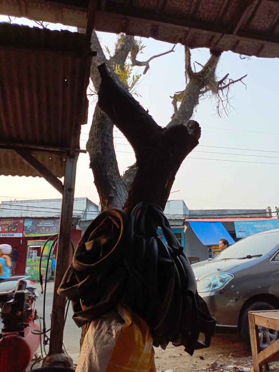 Respon Cepat Dlhk Kabupaten Lebak Tindak Lanjuti Laporan Warga Terkait