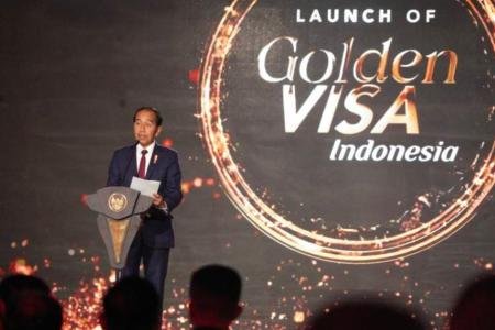 Golden Visa Resmi Diluncurkan Presiden RI Privilese Emas bagi Warga Du