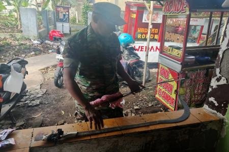 Gerebek Rumah KosongBabinsa sita senjata tajam