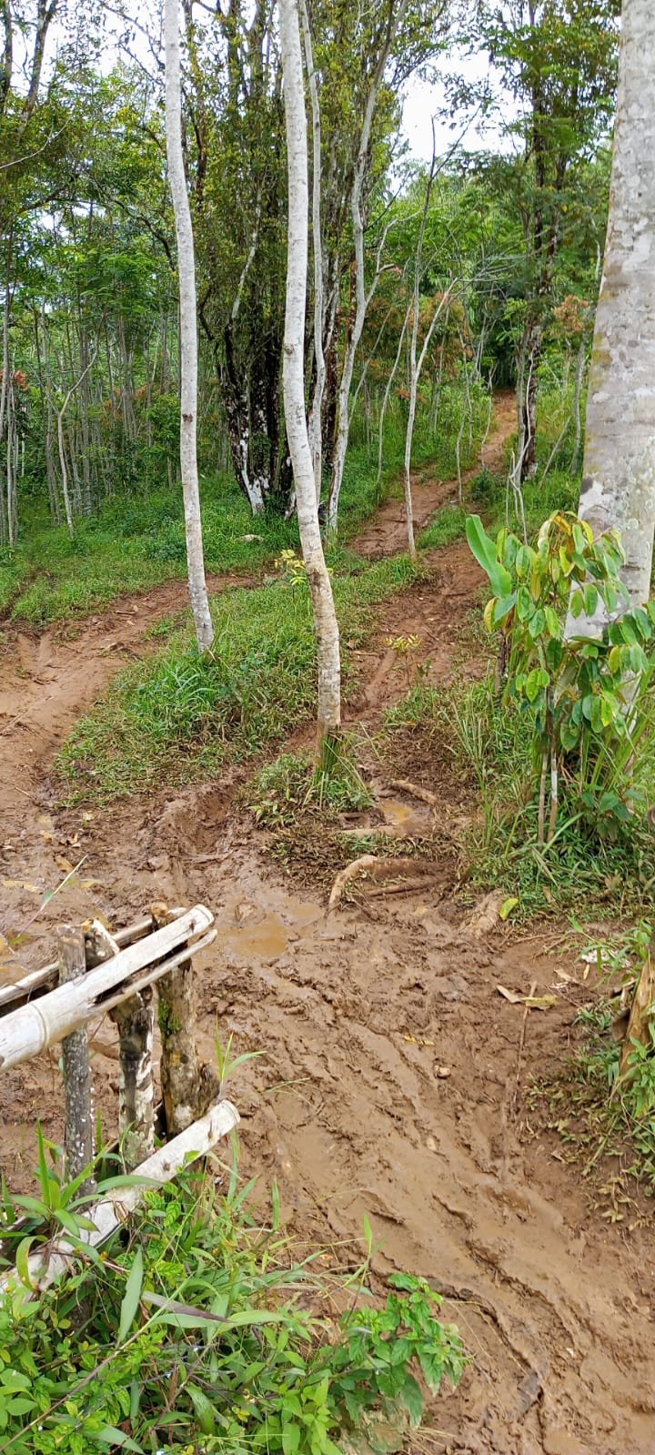 Tambang Ilegal Di Pasir Cilondok Cibeber: Antara Manfaat Dan Dampak Bu