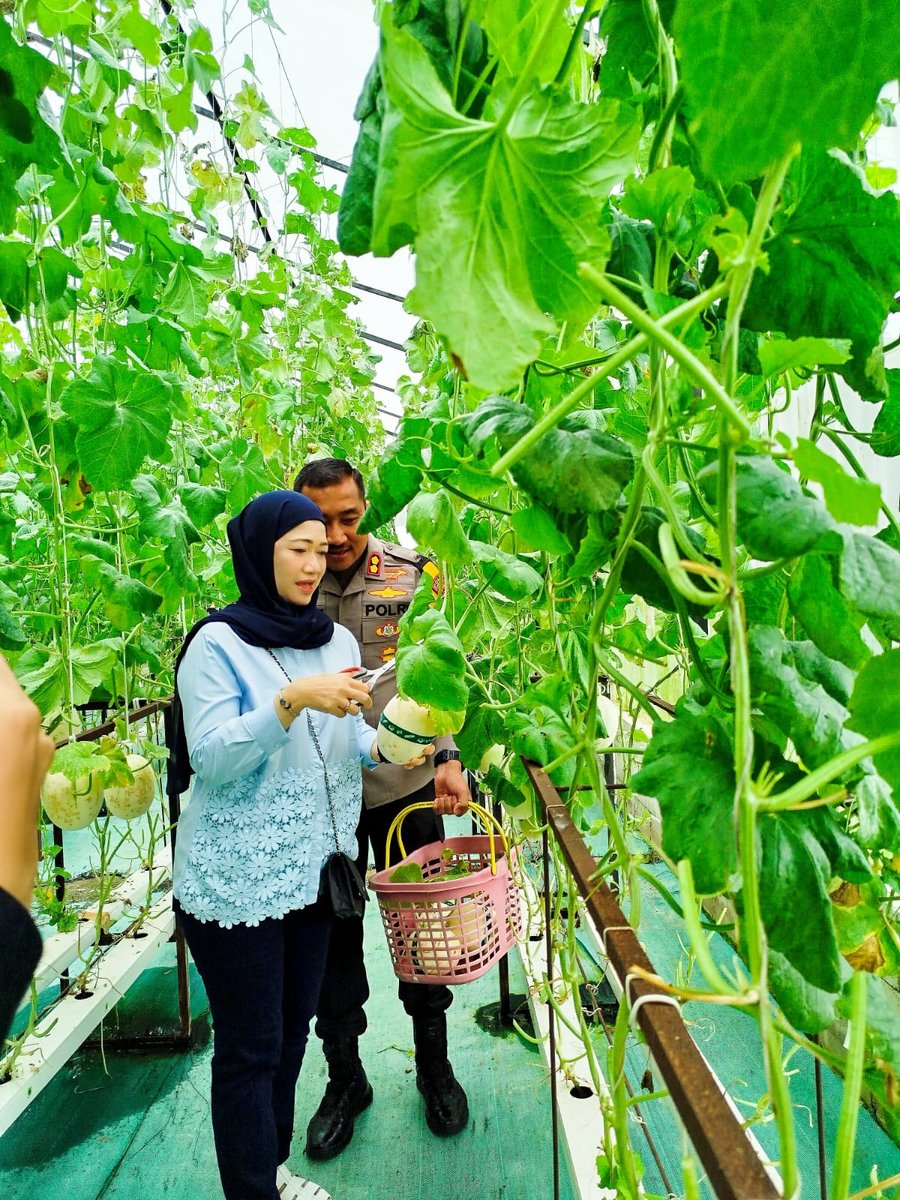 Destinasi Wisata Petik Buah Artansi Chandra Kahuripan Berbenah Untuk E
