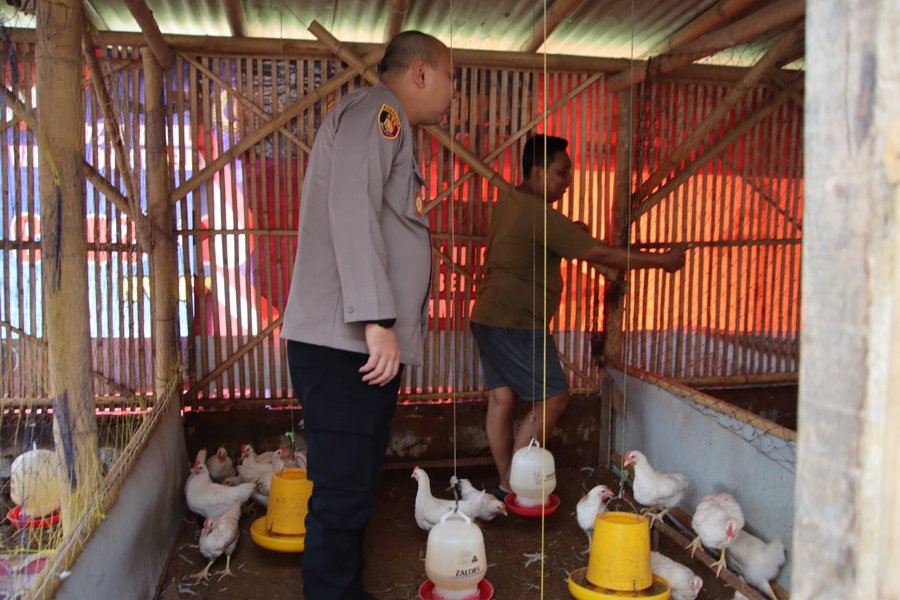 Dukung Ketahanan Pangan Kapolres Sumenep Akbp Rivanda, S.i.k. Tinjau P