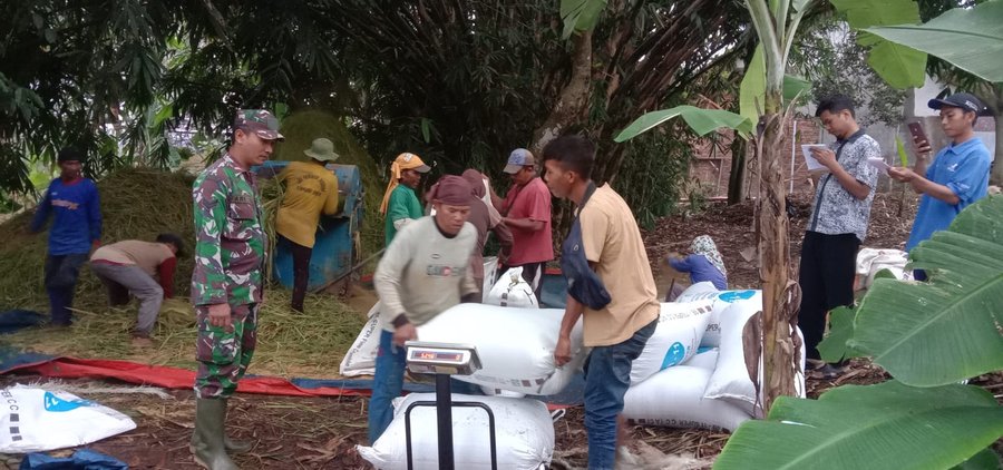 Pastikan Proses Transaksi Lancar, Babinsa Desa Brokoh Dampingi Pembeli