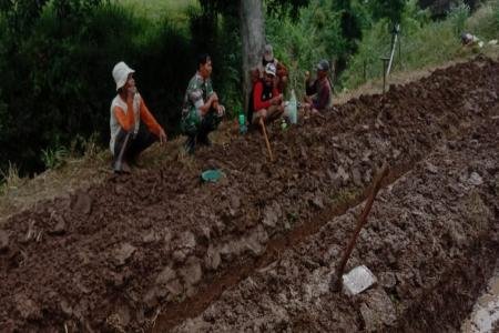 Turun ke Sawah Babinsa Koramil 18Pagerbarang Dampingi Petani Siapkan L