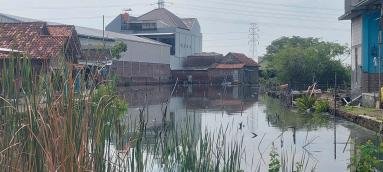 Wilayah Pesisir Demak Apakah Sudah Menjadi Target Pembiaran