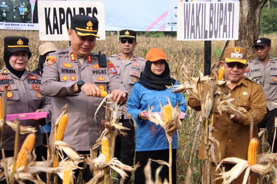 Polres Sumenep Gelar Panen Raya Jagung Serentak Dukung Ketahanan Panga