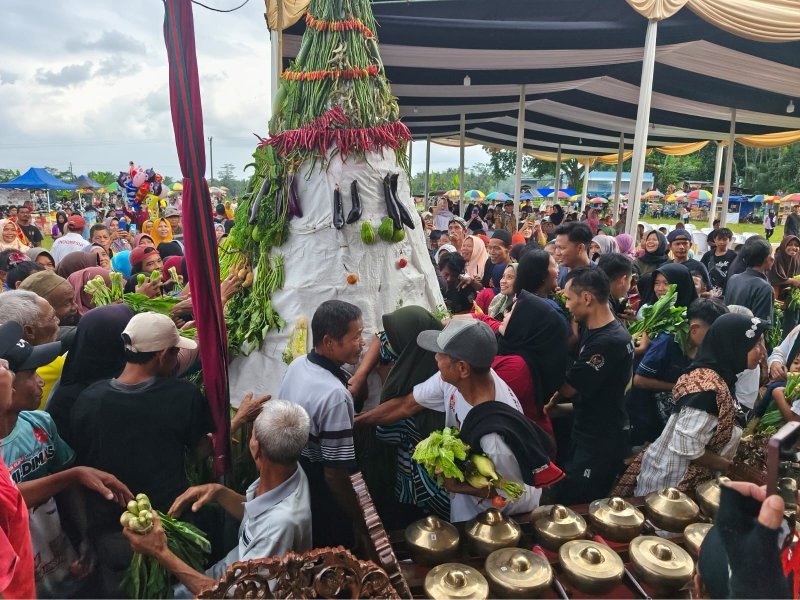 Sedekah Bumi Desa Cipaku Ditandai Dengan Grebeg Gunungan Dan Pagelaran