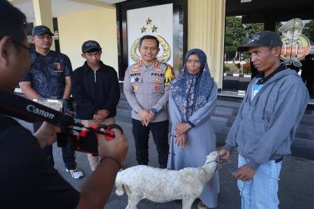 Polres Bondowoso Amankan Tersangka Curwan Barang Bukti Kambing Diserah
