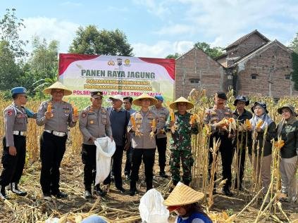 Menuju Swasembada Pangan, Kapolres Trenggalek Bersama Warga Panen Raya