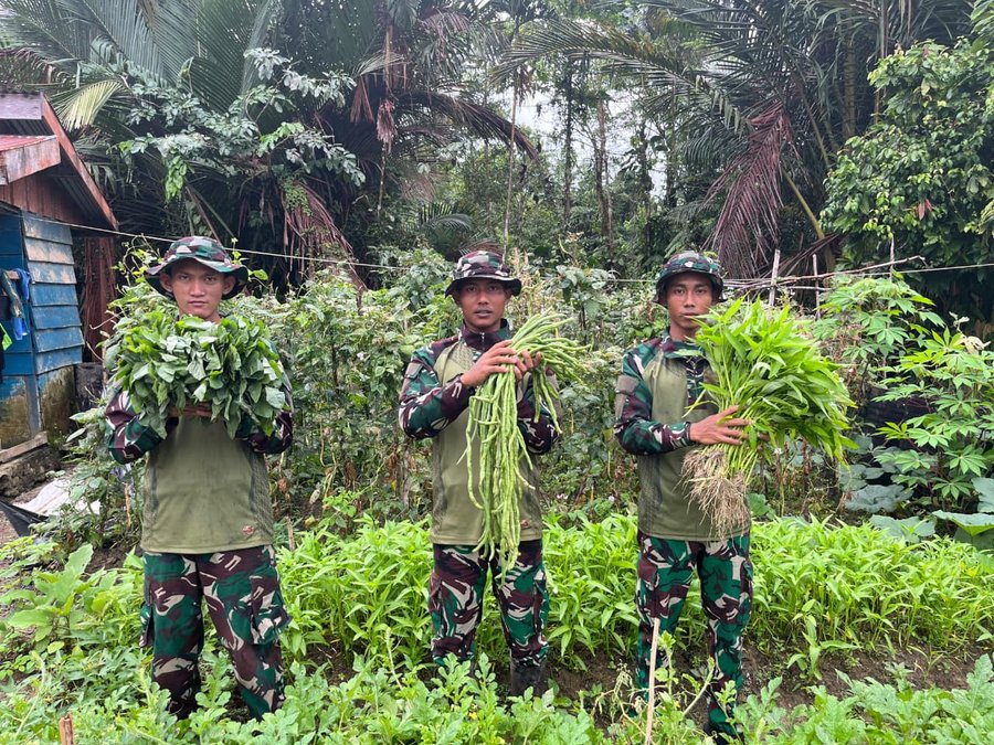 Ketahanan Pangan, Satgas Yonif 521 dy Wujudkan Melalui Buka Kebun Di S