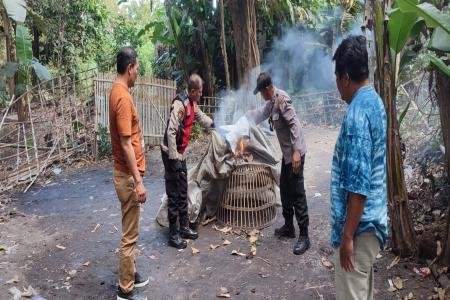 Tindaklanjuti Laporan Warga Polisi Bongkar Arena Sabung Ayam di Sidoar