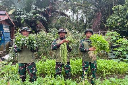 Ketahanan Pangan Satgas Yonif 521DY Wujudkan Melalui Buka Kebun di Sek
