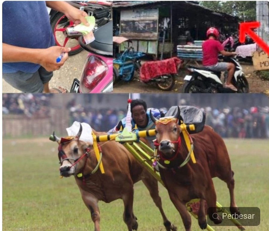 Aksi Pemalakan Parkir Nodai Suksesnya Festival Calender Event Karapan 