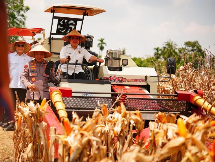 Panen Raya Kuartal Iii Polri Hasilkan 751 Ribu Ton Jagung, Bukti Nyata
