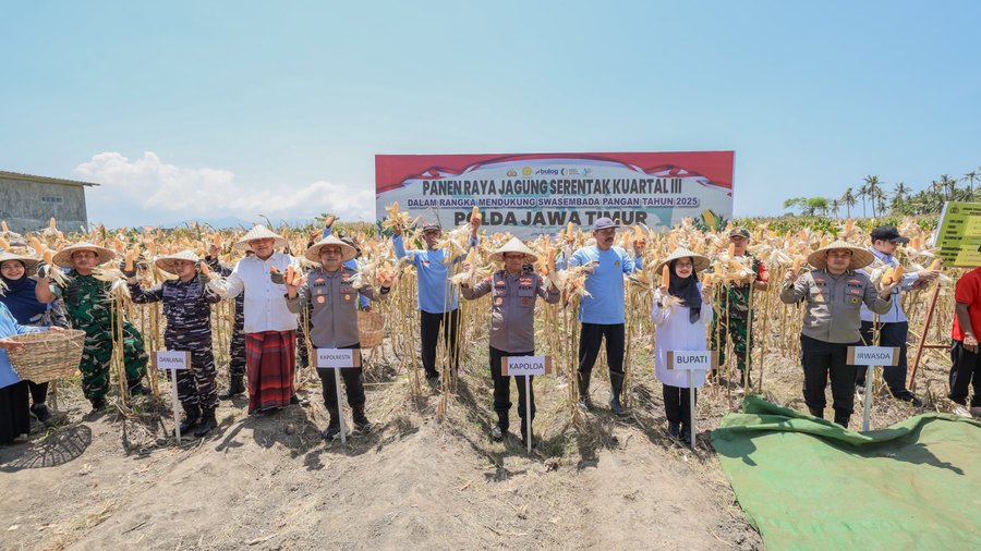Kapolda Jatim Dan Forkopimda Panen Raya Jagung Kuartal Iii Banyuwangi 