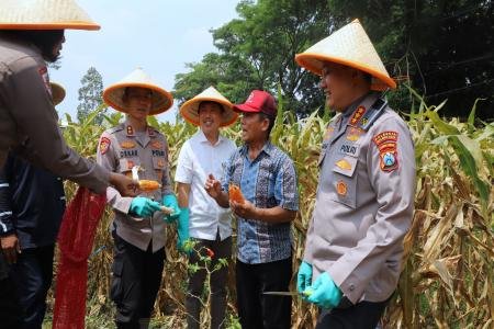 Dukung Swasembada Pangan Nasional Polresta Malang Kota Targetkan Lahan
