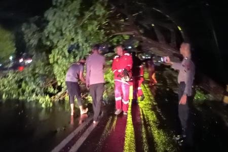 Polres Demak Sigap Tangani Pohon Tumbang Akibat Angin Kencang