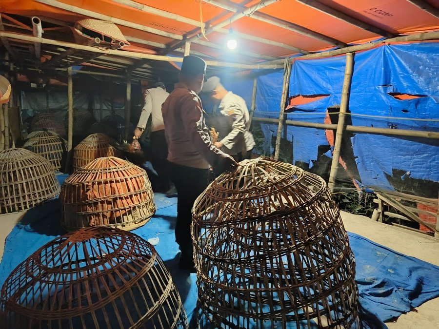 Polres Lamongan Bongkar Arena Judi Sabung Ayam Di Dua Lokasi
