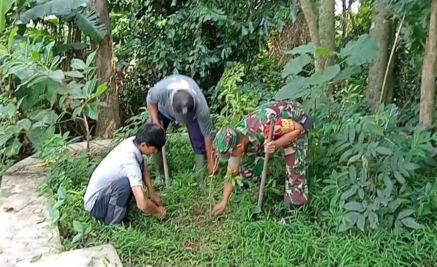Babinsa Dan Warga Ngadirejo, Tanam Pohon Beringin Dan Saman Untuk Lest