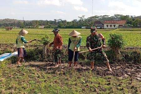 Babinsa Margomulyo Bantu Warga Timbun Jalan Pertanian Untuk Lancarkan 