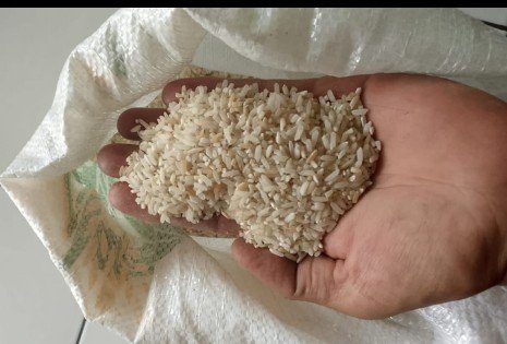 Kpm Keluhkan Kualitas Beras Bantuan Di Lebak Selatan: Banyak Bulir Kun