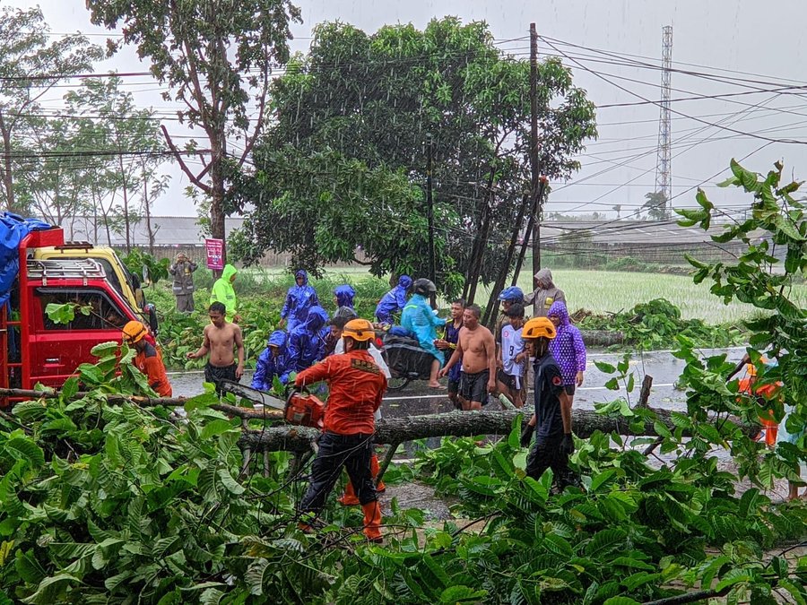 Polsek Kota Bondowoso Gercep Evakuasi Pohon Tumbang