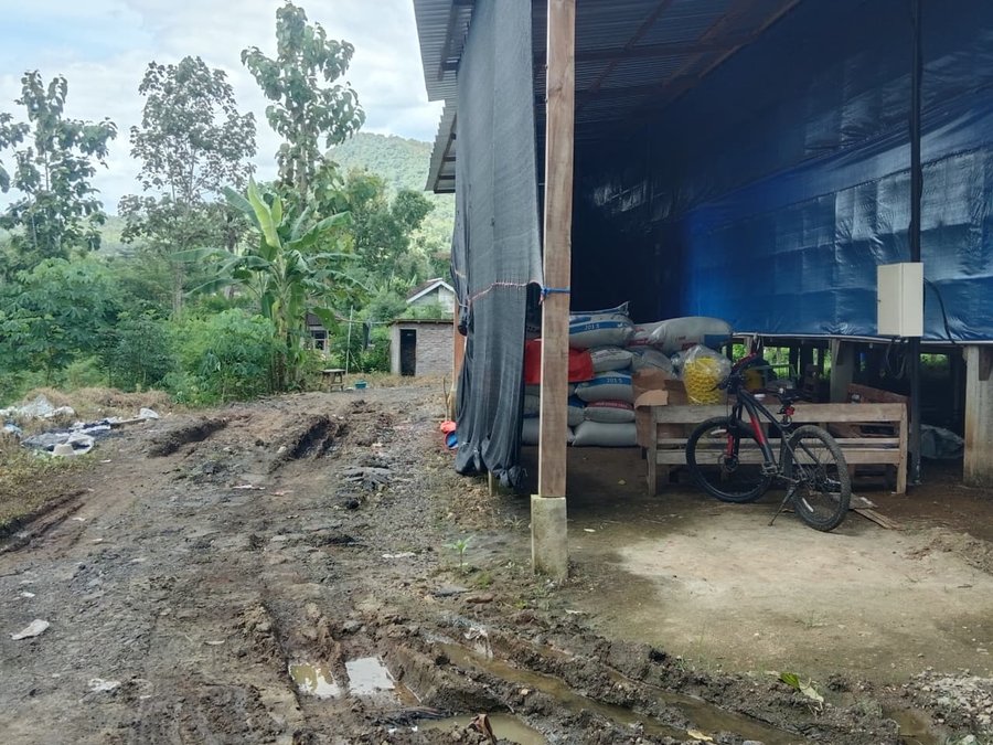 Kandang Ayam Dekat Pemukiman Di Trenggalek Picu Keluhan Warga