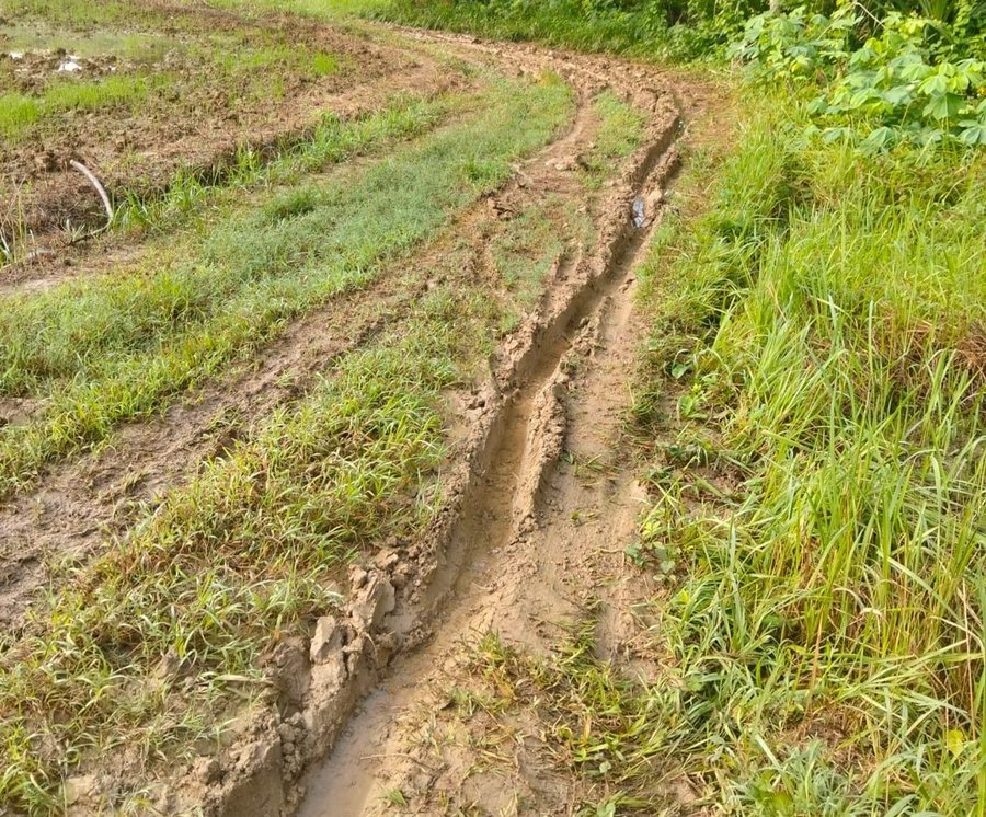 Akses Jalan Dusun Gelugur Timur Desa Kalowang Kecamatan Gayam Kabupate