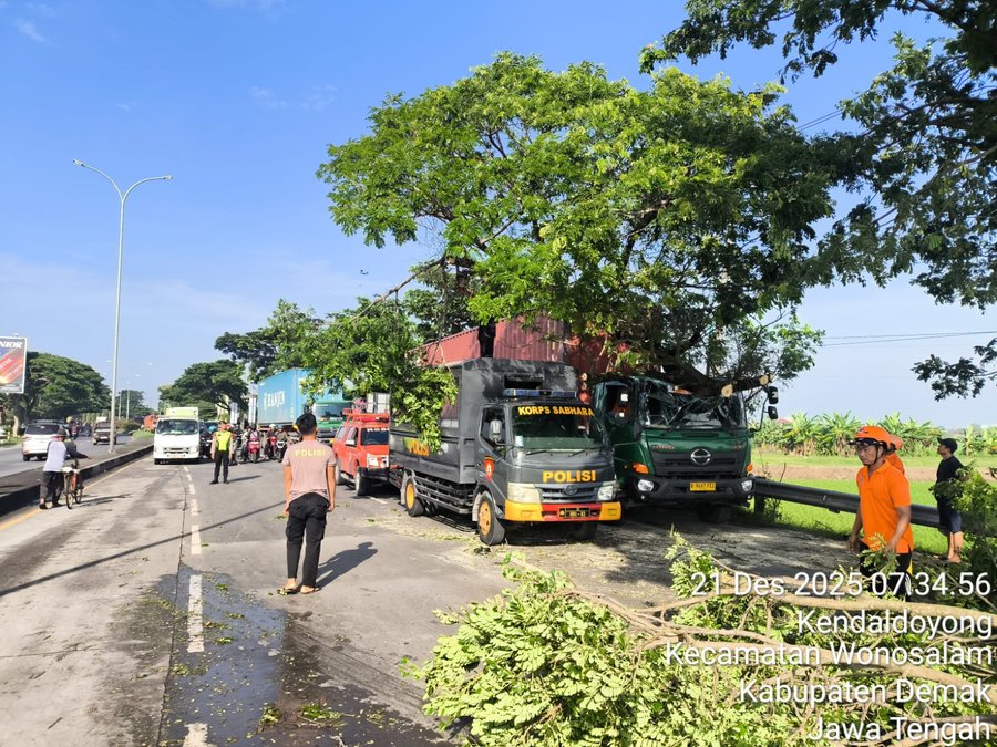 Respons Cepat Polres Demak Tangani Pohon Tumbang Di Exit Tol Kadilangu